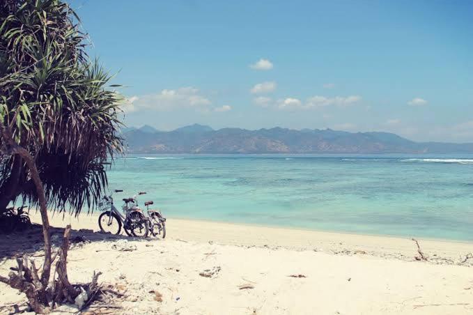 Gili Ricel Gili Trawangan
